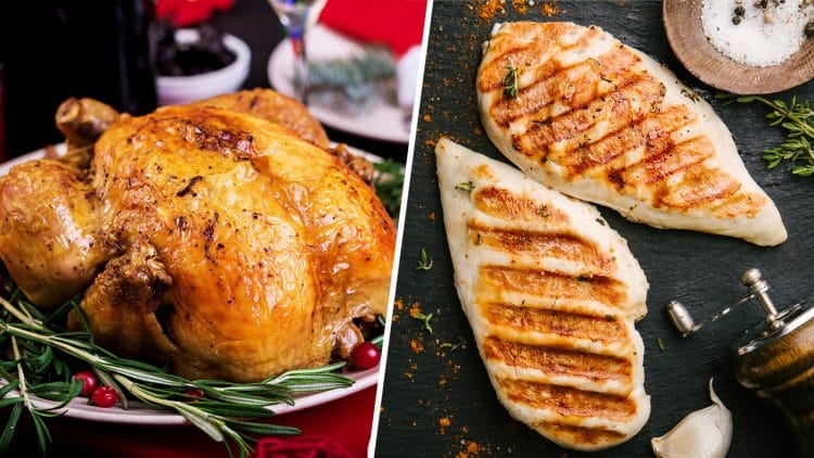 بوقلمون یا مرغ، کدام سالم تر است؟
